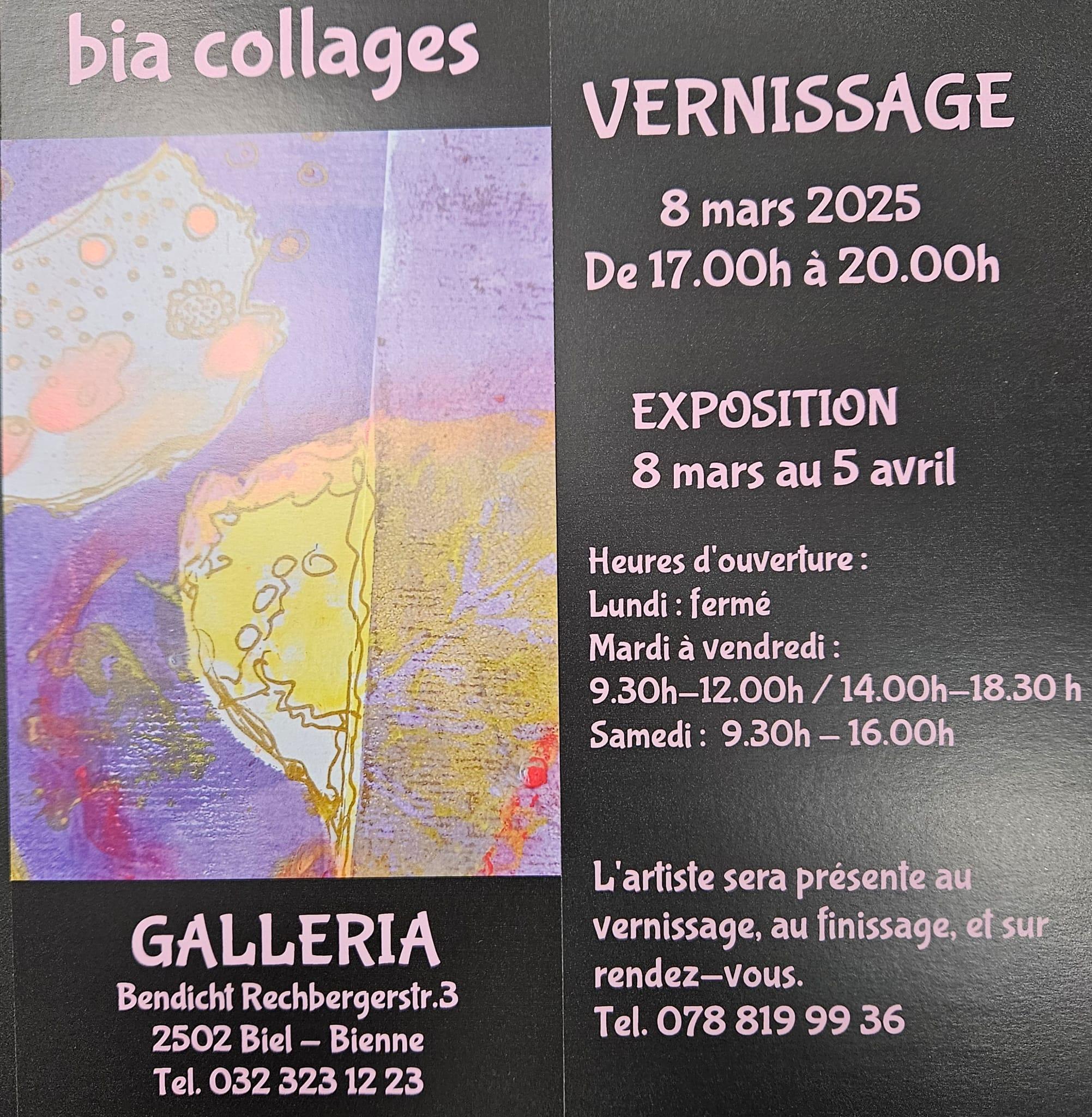 Ausstellung Bia Collages - Bild 1
