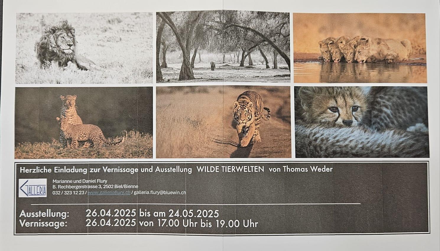 Ausstellung Wilde Tierwelten - Thomas Weder - Bild 1