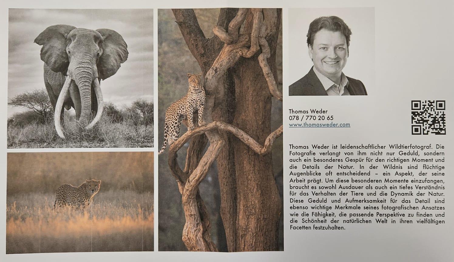 Ausstellung Wilde Tierwelten - Thomas Weder - Bild 2