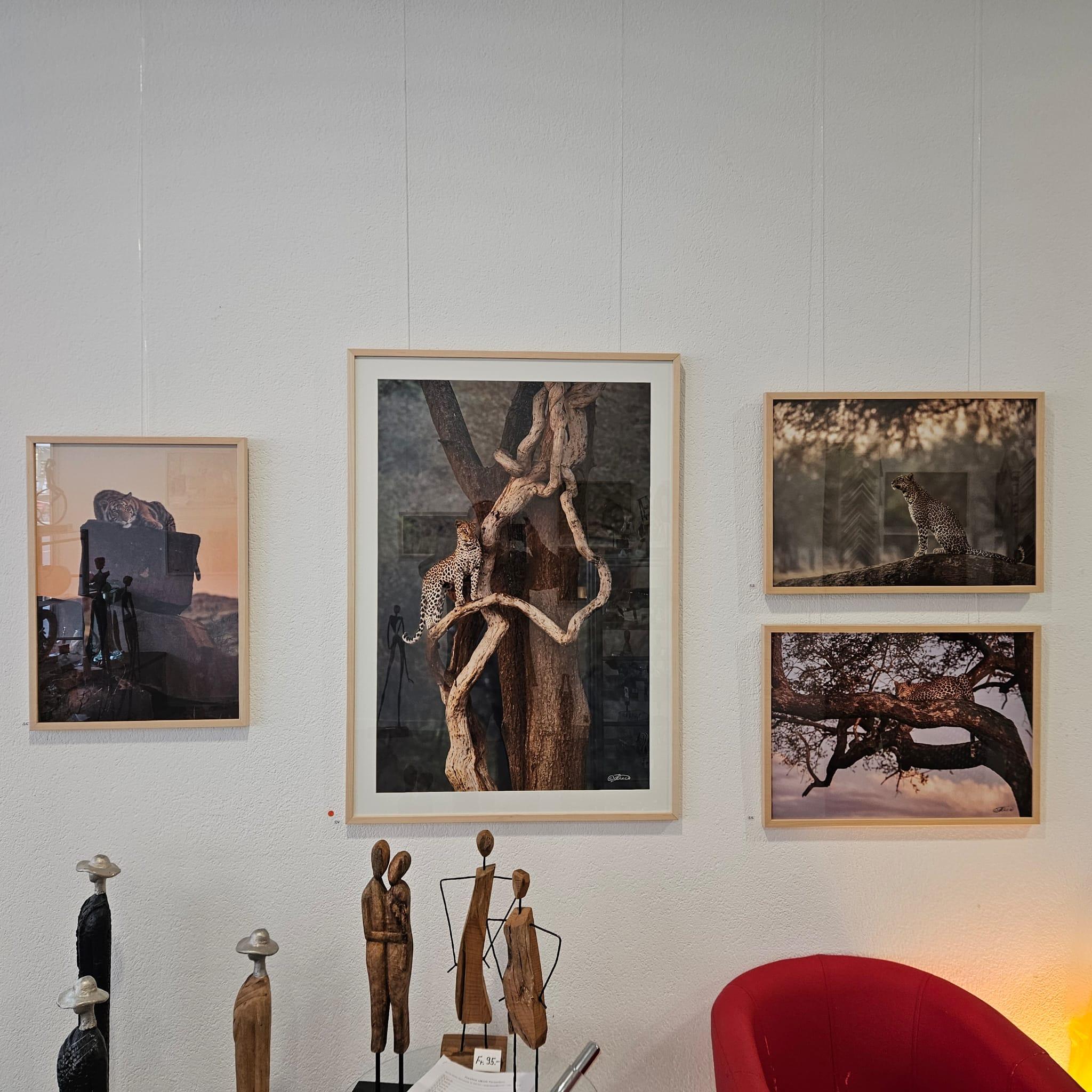 Ausstellung Wilde Tierwelten - Thomas Weder - Bild 3