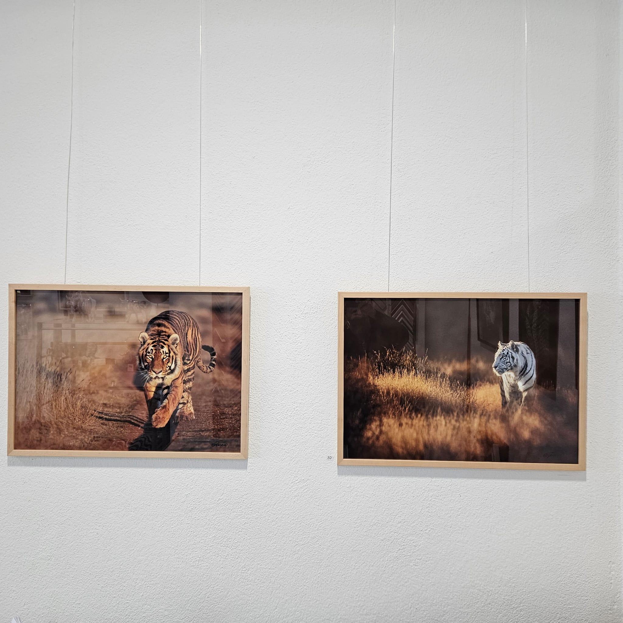 Ausstellung Wilde Tierwelten - Thomas Weder - Bild 5