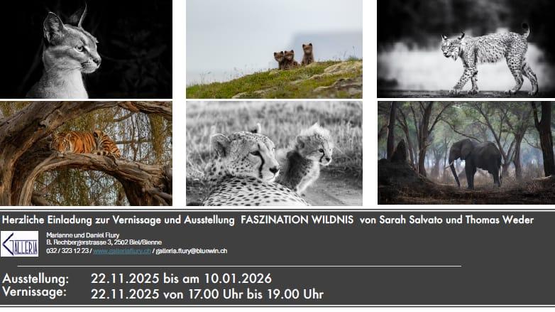 Ausstellung Faszination Wildnis